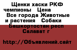 Щенки хаски РКФ чемпионы › Цена ­ 90 000 - Все города Животные и растения » Собаки   . Башкортостан респ.,Салават г.